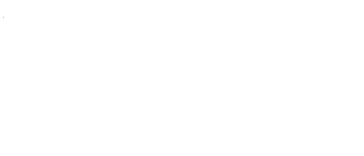 Database