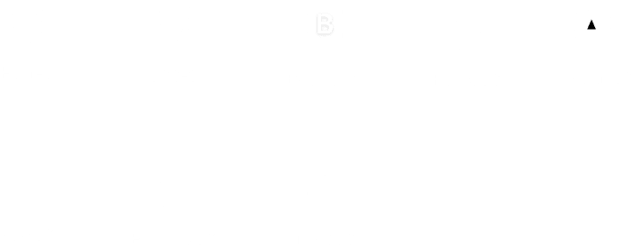 Frontend